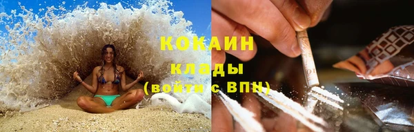 прущие крисы Алзамай